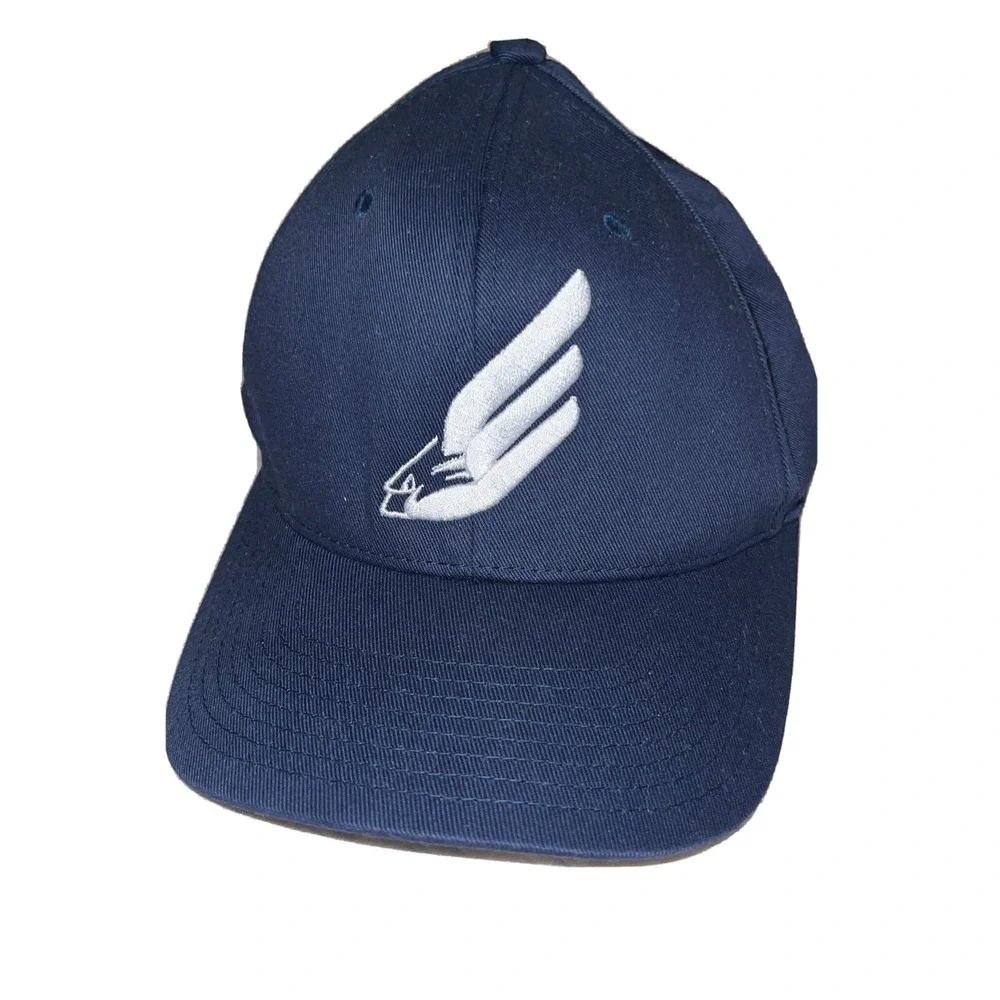 Colorado Eagles Hat‎ Cap Hockey Team Fitted S - M  Cap Blue White Flex Fit